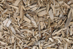 biomass boilers Nately Scures
